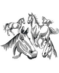 Horse Sketch